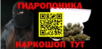 ГАЛЛЮЦИНОГЕННЫЕ ГРИБЫ Сланцы