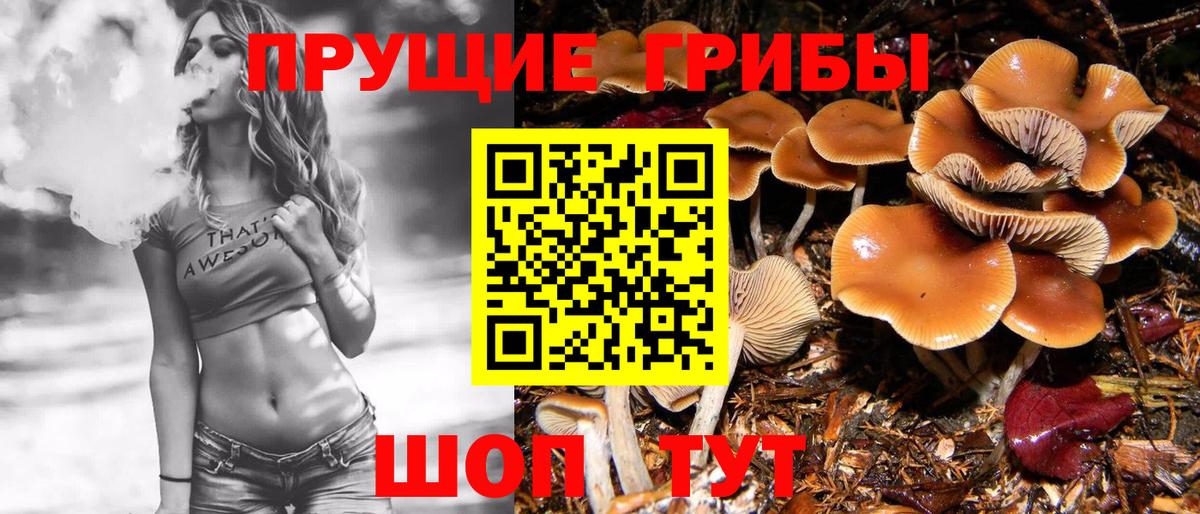 Орёл  Галлюциногенные грибы Psilocybine cubensis  Вход с VPN 