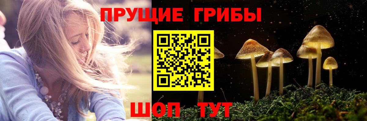 Псилоцибиновые грибы Magic Shrooms Орёл